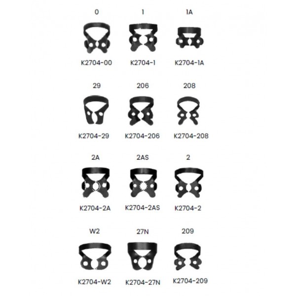 Clema diga neagra, Black coated, Premolar